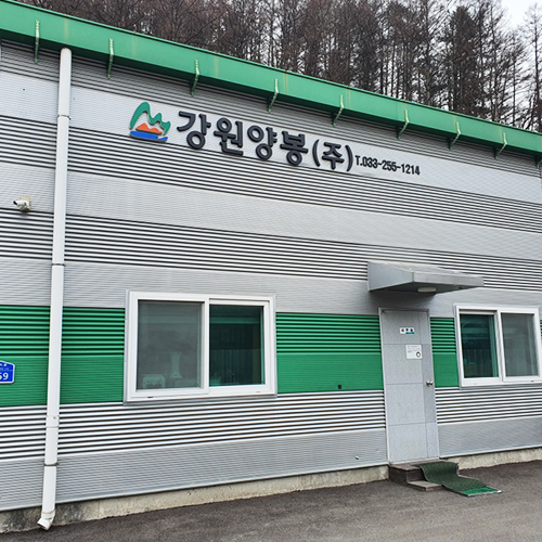 업체 이름