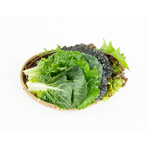 품목 이름