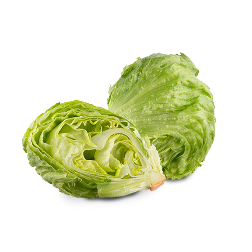 품목 이름