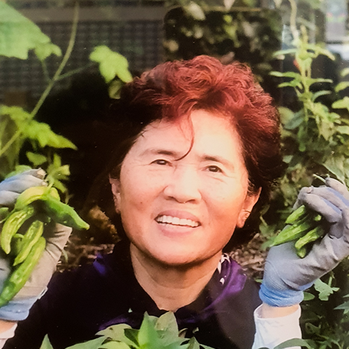 농가 이름